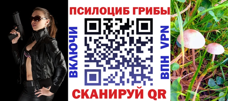наркотики  мега   маркетплейс официальный сайт  Гусь-Хрустальный  Псилоцибиновые грибы MAGIC MUSHROOMS 
