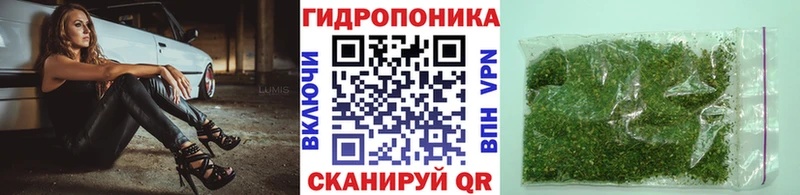 купить наркотик  Гусь-Хрустальный  Канабис конопля 